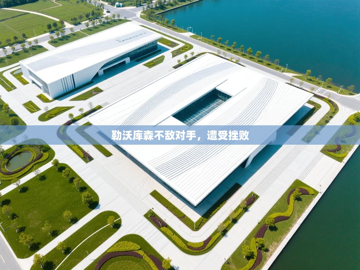 勒沃库森不敌对手,遭受挫败 第1张