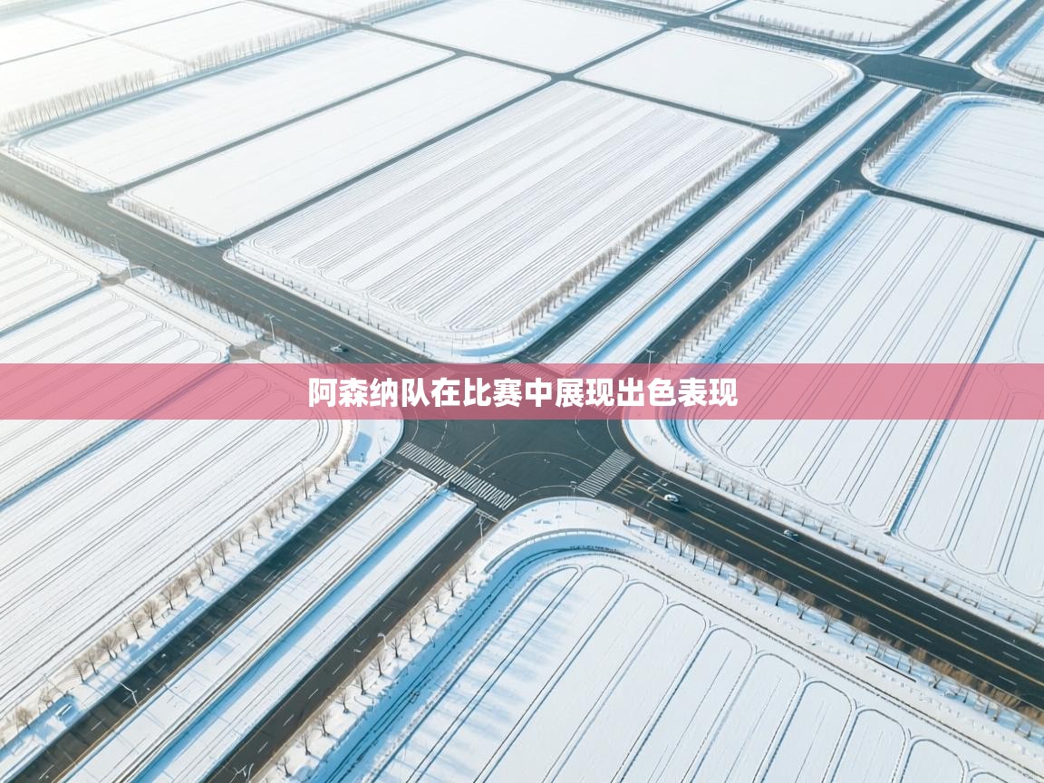 阿森纳队在比赛中展现出色表现  第2张