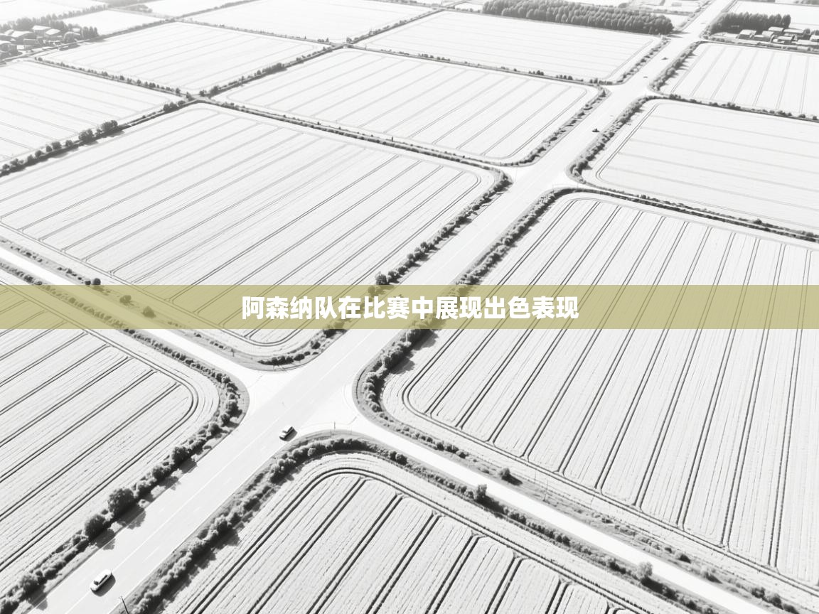 阿森纳队在比赛中展现出色表现  第1张