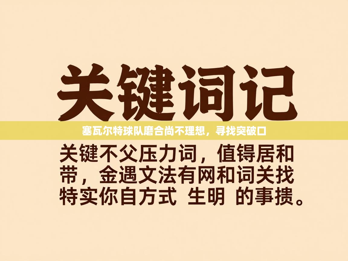 塞瓦尔特球队磨合尚不理想,寻找突破口 第1张