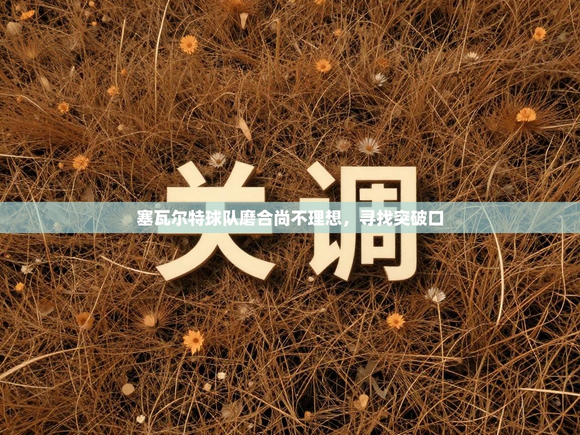 塞瓦尔特球队磨合尚不理想,寻找突破口 第2张