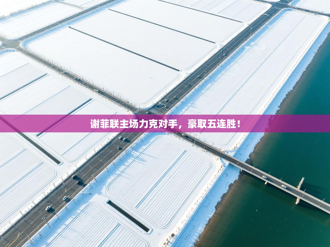 谢菲联主场力克对手，豪取五连胜！  第1张