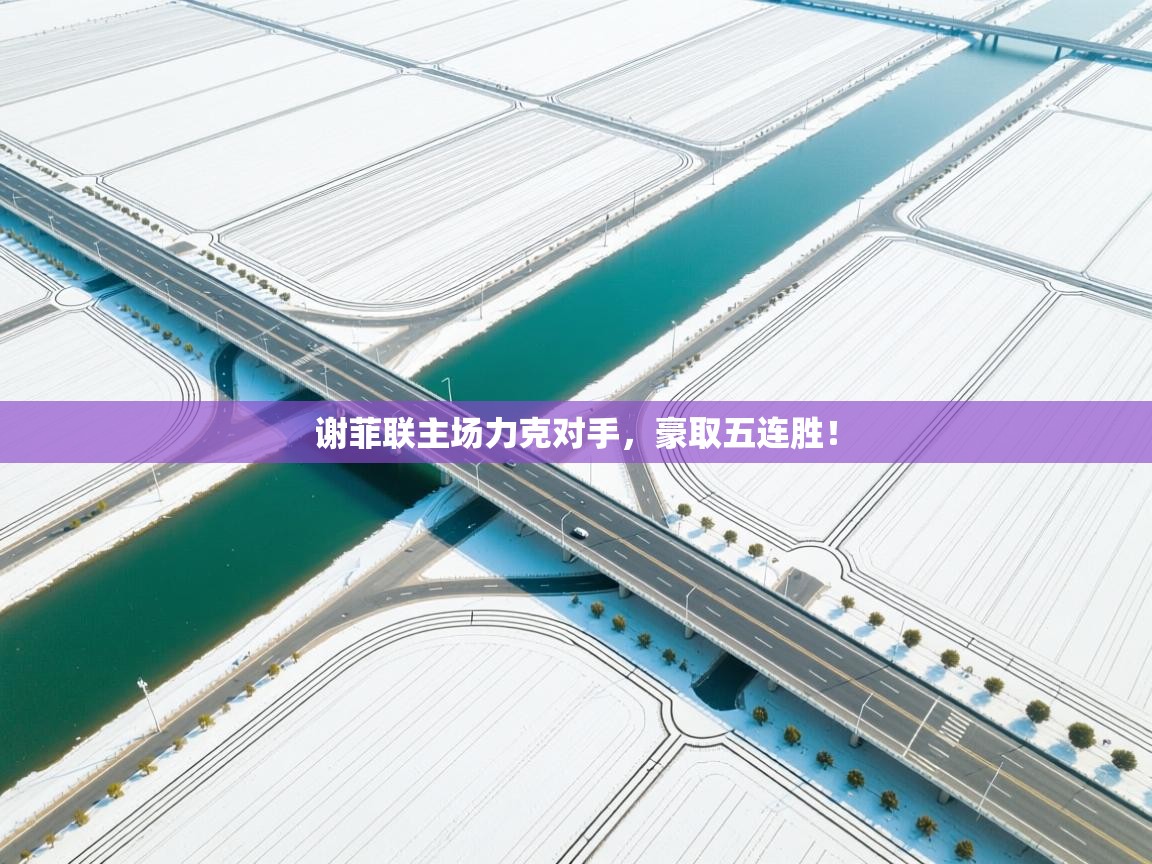 谢菲联主场力克对手，豪取五连胜！  第2张