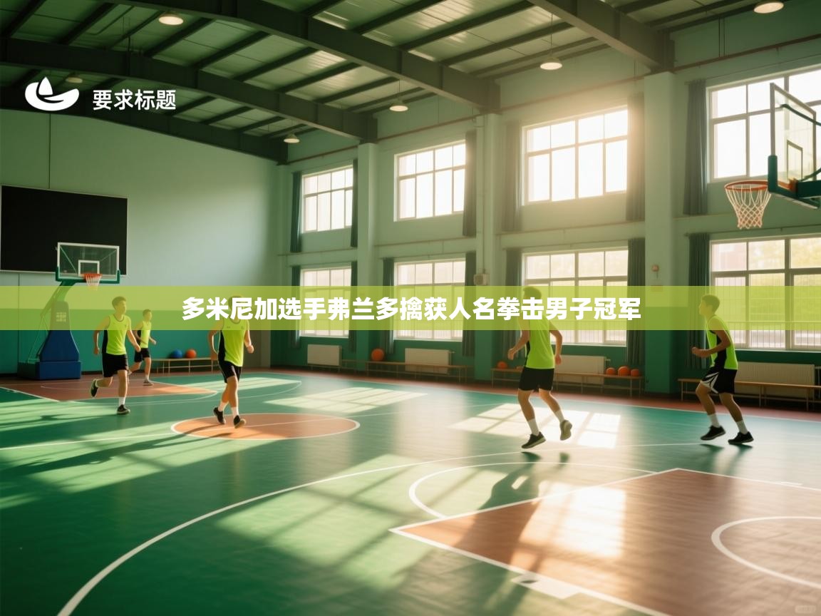 多米尼加选手弗兰多擒获人名拳击男子冠军  第2张