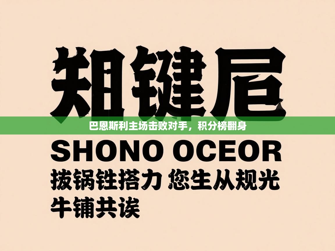 巴恩斯利主场击败对手，积分榜翻身  第1张